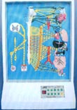 電動醫(yī)學模型｜自主神經(jīng)電動模型