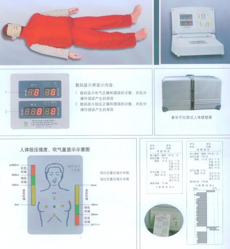 高級全自動(dòng)電腦心肺復(fù)蘇模擬人