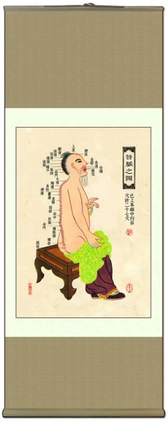 中醫(yī)針灸掛圖：十四經(jīng)絡 督脈之圖