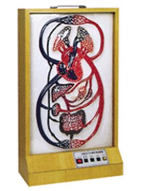 大、小循環(huán)電動(dòng)模型