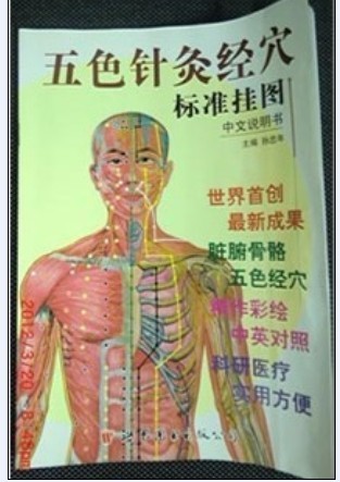中醫(yī)人體針灸經(jīng)穴教學掛圖|針灸經(jīng)穴標準掛圖